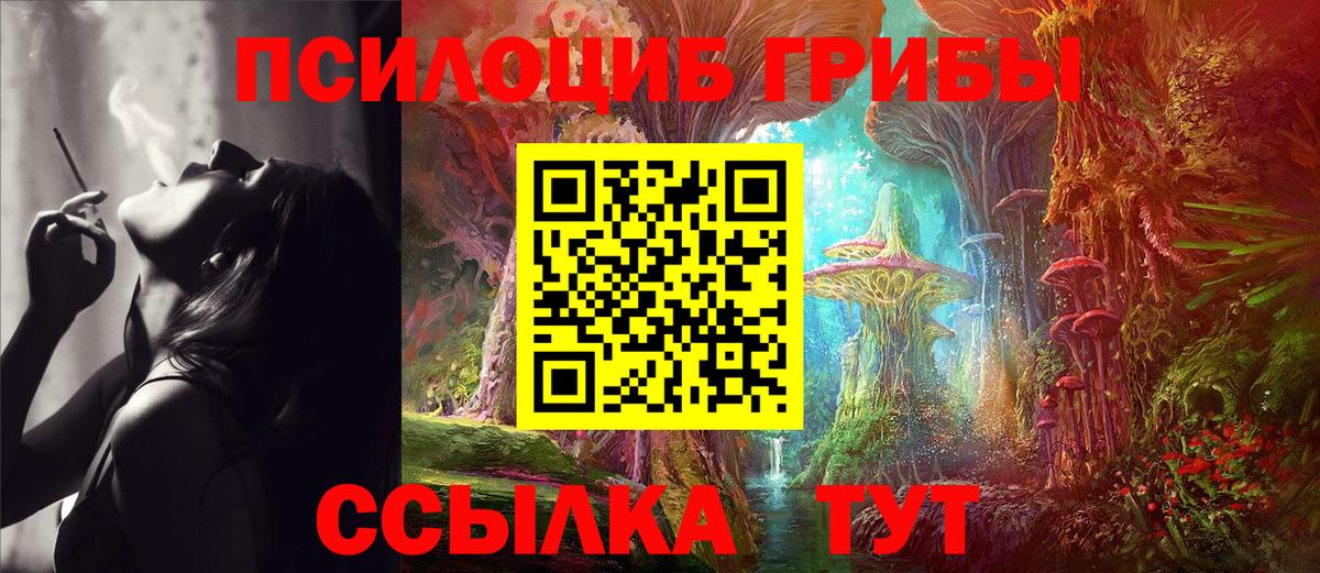 Сорочинск  Псилоцибиновые грибы ЛСД  наркотики  Вход с VPN 